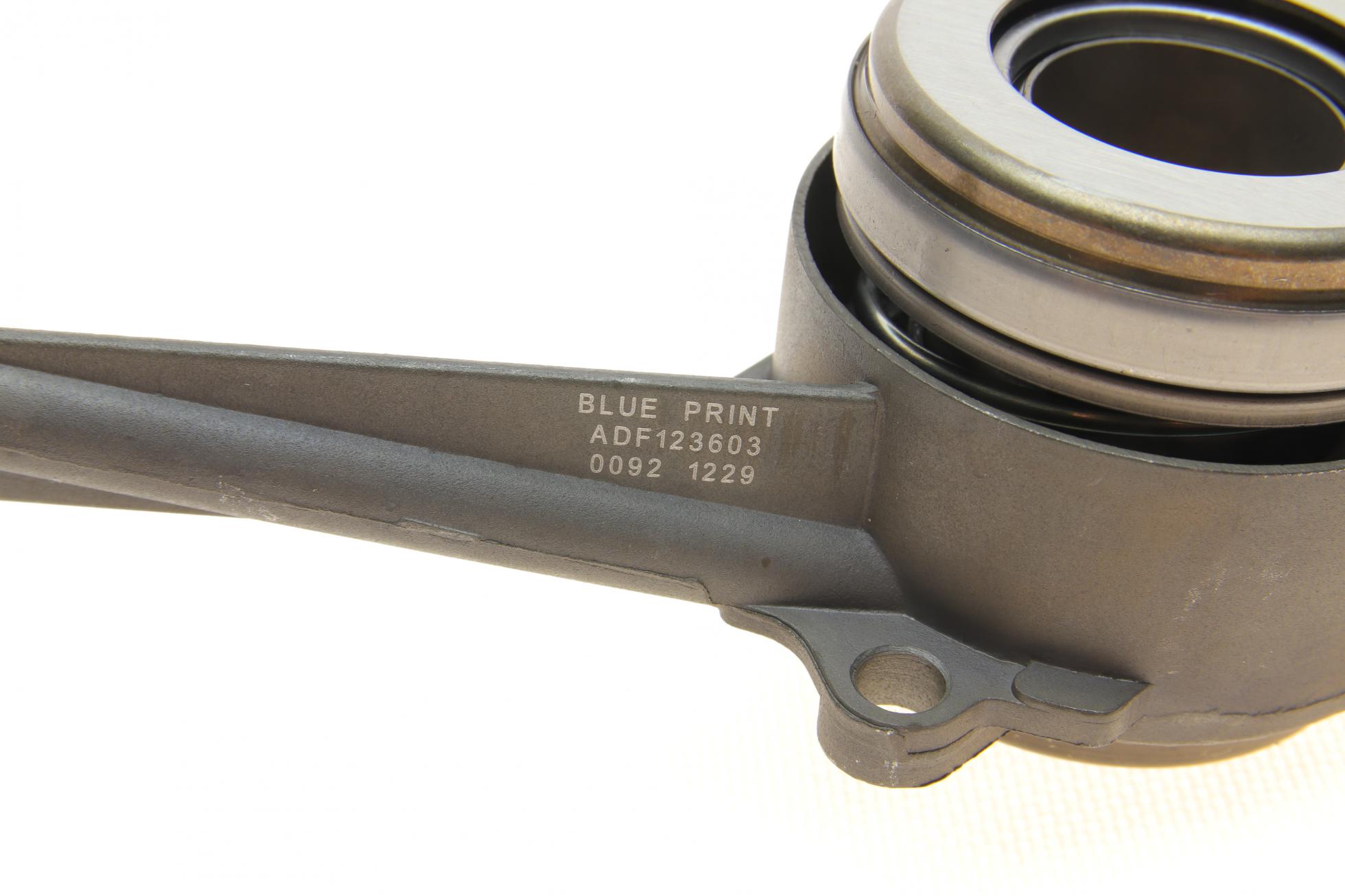 ADV1830117 BLUE PRINT